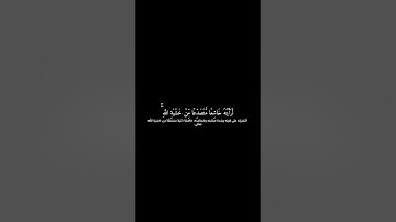 رعد الكردي | كروما شاشه سوداء قرآن كريم | تلاوة من سورة الحشر
