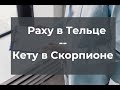 Раху в Тельце / Кету в Скорпионе