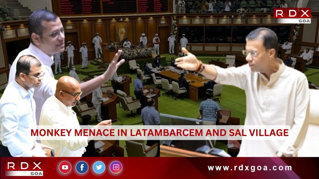 MLA Chandrakant Shetye Raises Monkey Menace Issue in Latambarcem & Sal
