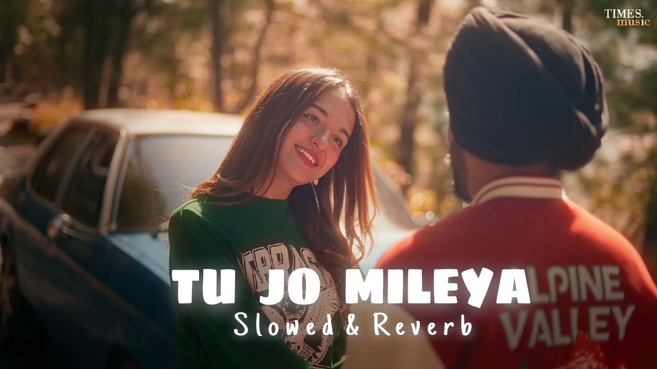 JUSS   Tu Jo Mileya Slowed  Reverb MixSingh  New Punjabi Romantic Song 2024
