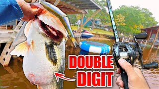RECORD Day Swimbait Fishing a PUBLIC Lake! (Multiple Double Digit Bass)