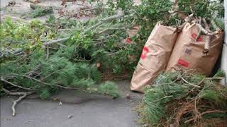 Yard Waste Removal Yard Waste Trees Branches  Omaha NE | Omaha Junk Disposal (402) 590-8092