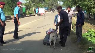 किन गरिदै छ गड्डाचौकी भन्सारमा तालीम प्राप्त कुकुरको प्रयोग(Watch Video)