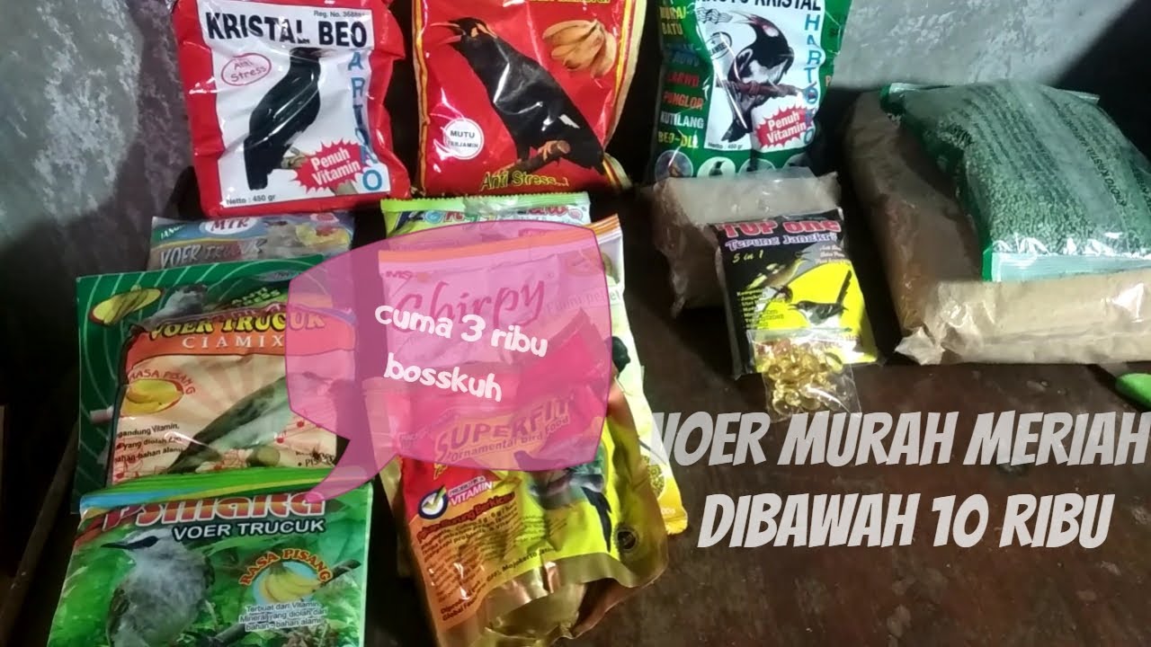 UNBOXING VOER BUAH untuk BURUNG TRUCUKAN MURAH MERIAH 