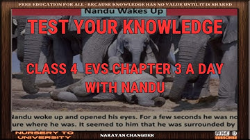 CLASS 4  EVS CHAPTER 3 A DAY WITH NANDU