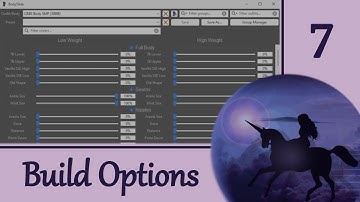 BodySlide 7: Build Options