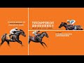 [FWD Champions Day 2023] 3 of the World’s Best Races on Turf