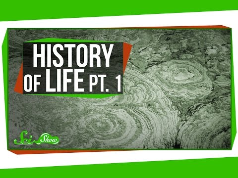 A Brief History of Life: Survival Is Hard thumbnail