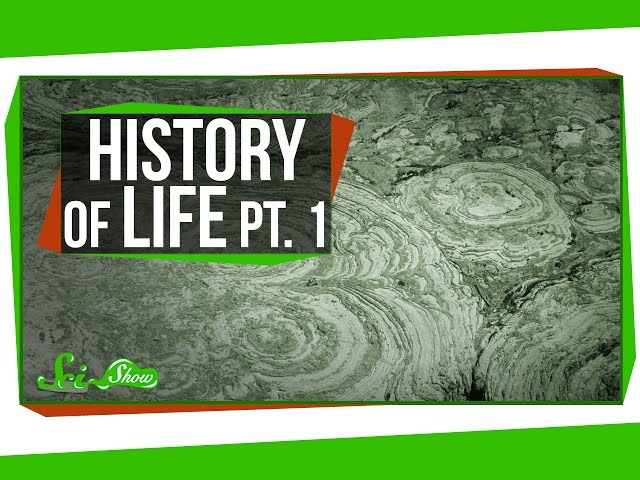 A Brief History of Life: Survival Is Hard