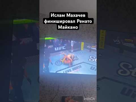 Ислам Махачев финишировал Ренато Майкано #ufc #mma #махачев #нурмагомедов