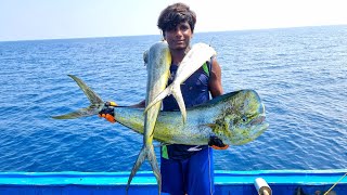 பரலா மீன்,தோல் கிளாத்தி மீன் ஆழ்கடலில் பிடித்தல்|3rd Day|Episode-17|Deep Sea Net Fishing