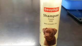 Best top 4 shampoo for dog and cats | beaphar