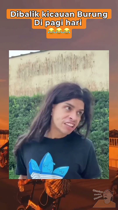 Bacotan burung #funny #lucu #meme #memes #shortvideo #tiktok #tiktokviral #shorts #short #viral #fyp