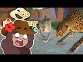 A Hissy CHEETAH Cat Fight?! 🦒 SAHULA SAFARI • #47