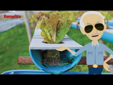 Introduction to Hydroponics  2. Hydroponic Systems