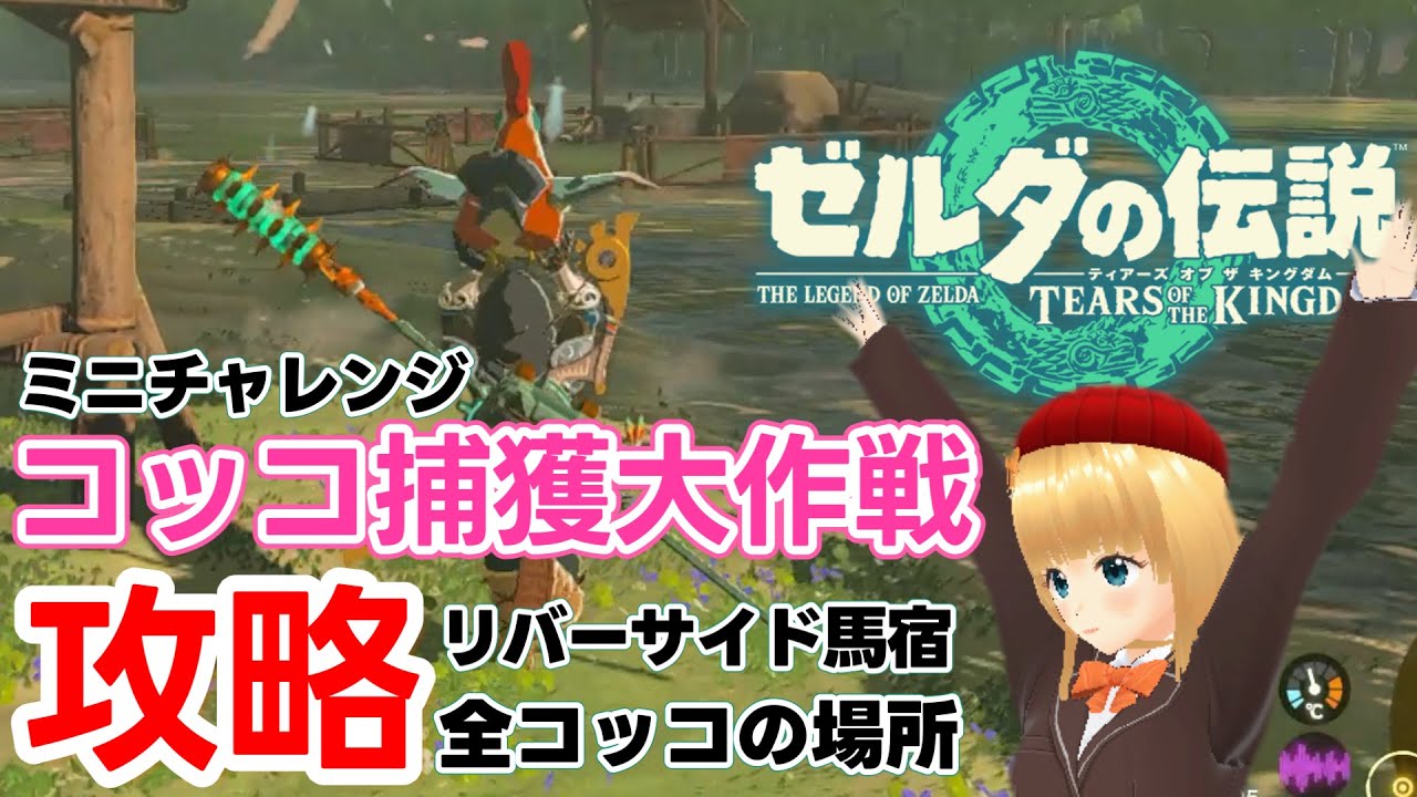 ティアキン】コッコ捕獲大作戦攻略！（ミニチャレンジ）【ゼルダの伝説
