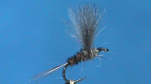 Fly Tying a CDC Turkey Tail Dun with Jim Misiura