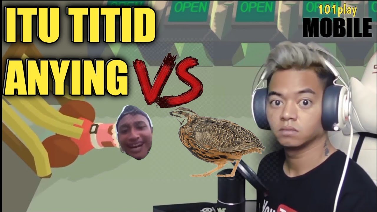 Itu Titid Anjing X Burung Puyuh Youtube