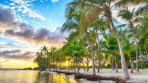 The Girl from Guadeloupe (modular synth) [Mutable Instruments Rings, Plaits, Clouds, Marbles]