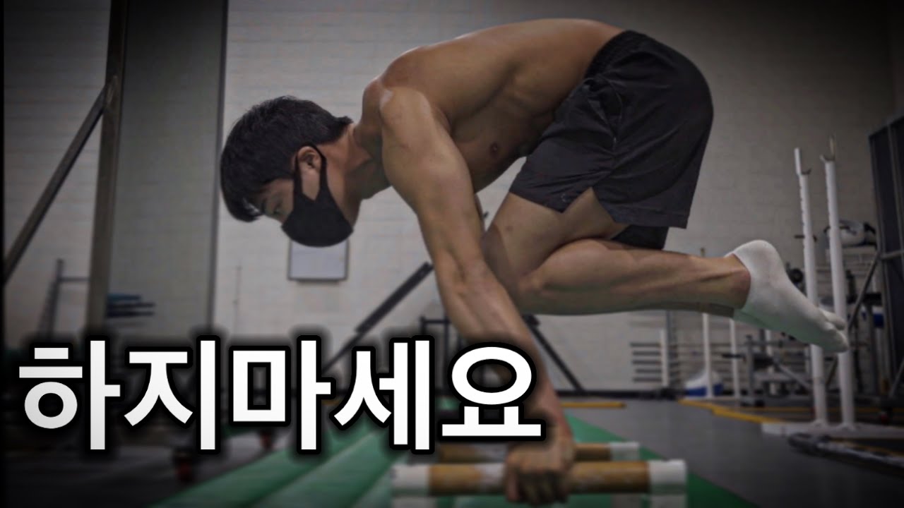 플란체 절대 하면 안되는 이유 ( 맨몸운동 의 꽃 플란체가 진짜 위험한 치명적인 단점) 전직 체조 국가대표 조언