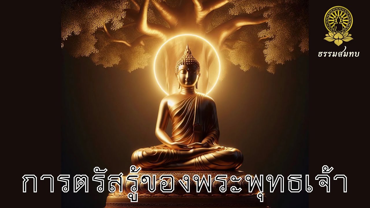 57 เจาะลึกการตรัสรู้ของพระพุทธเจ้า | โยนิโสมนสิการ ๔ อย่าง