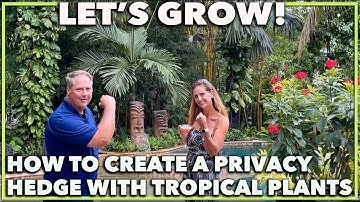 HOW TO PLANT A PRIVACY HEDGE