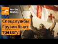 🚫Военные ВСУ приедут на протесты в Грузию? Язык кашалотов расшифровали учёные / ВотТак. Кратко