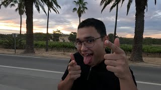 I attended my first conference
