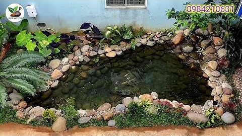 Thi công hồ Koi lót bạt tại Núi Thành - Quảng Nam