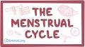 q=sca_esv=e4fcf10d584cbf3e Menstrual cycle days from www.youtube.com