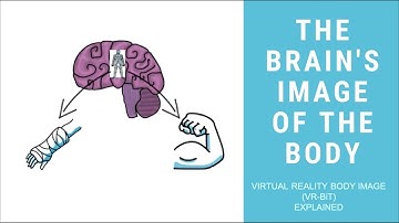 Virtual Reality Body Image Training (VR-BiT) Explained