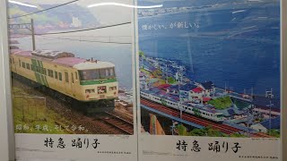 【今は亡き踊り子運用】185系 踊り子 東京駅到着