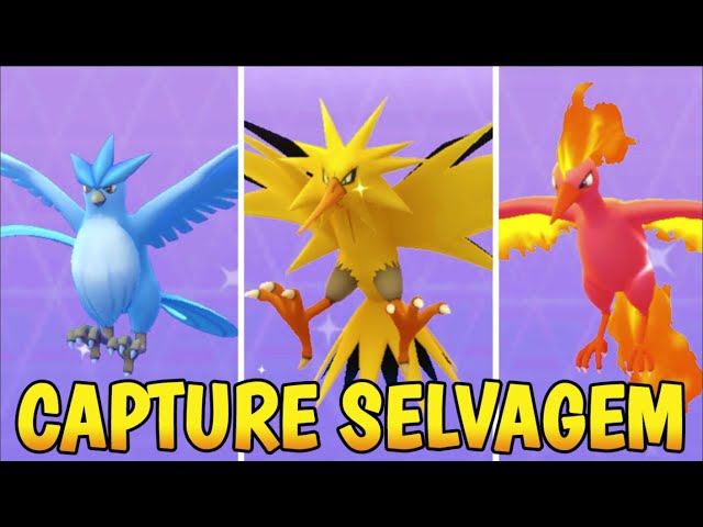 COMO CAPTURAR PASSAROS LENDARIOS DE KANTO SELVAGEM - Pokémon Go