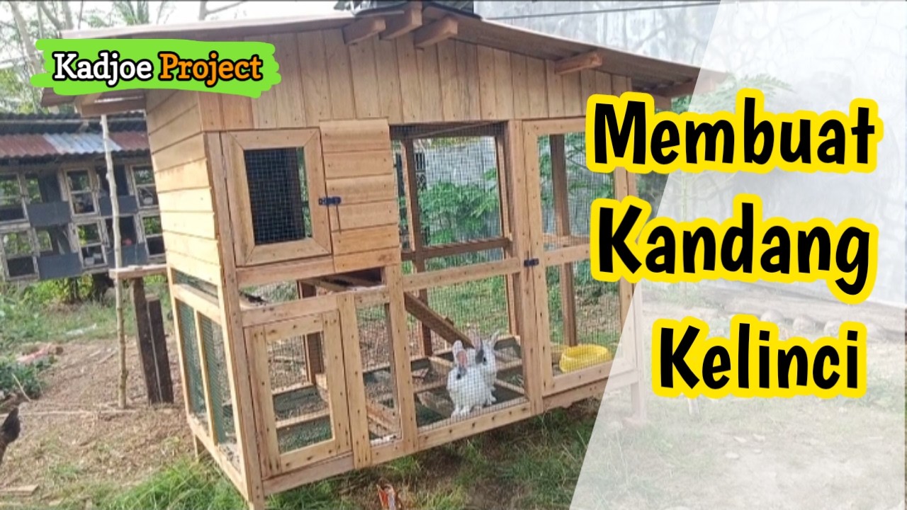 Membuat Kandang Kelinci atau Ayam