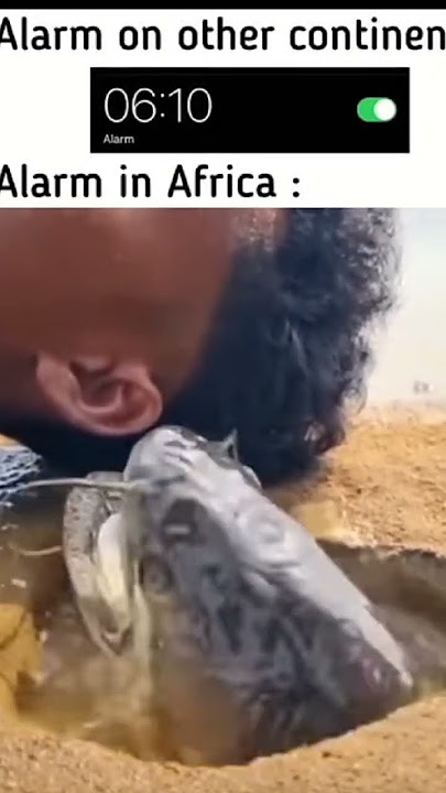 Alarm in africa 🤣🤣🤣