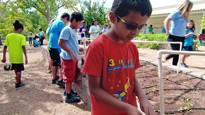 Garden-Based Learning: Engaging Students in Their Environment - DayDayNews