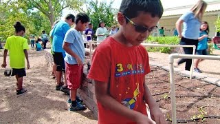Garden-Based Learning: Engaging Students in Their Environment