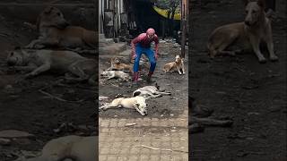 Wait The End 😂😂😂 16Q #shorts #fail #funnyshorts #starword