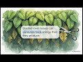 Science of Defoliation