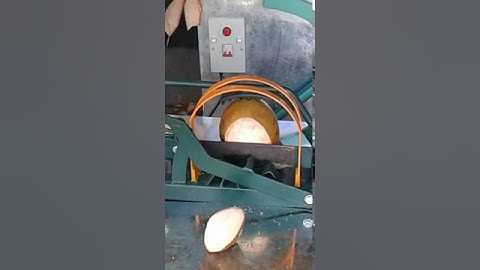 gọt dừa,chặt dừa,cắt đuôi dừa, bổ đôi quả dừa lấy cái.cắt vạt đầu dừa uống nước. cắt dừa 3 trong 1