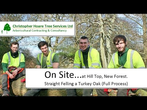 On Site -