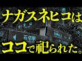 やはり長髄彦はここに祀られていた。