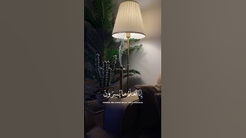 فلا يحزنك قولهم انا نعلم ما يسرون وما يعلنون القارئ محمد هشام#لايك#اكسبلور#quran#قرآن#محمد_هشام