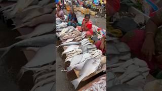 Kasimedu Meenu Maa   Fresh Fish  
