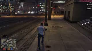 FiveM public server being taken down with IP Stresser