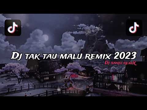 dia \u0026 INDAHKUS - MALU MALU (Official Music Video)