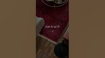 سورة النساء القارئ ياسر الدوسري 🤍🤍