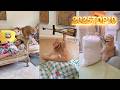2025 TOP10 #exlittlebeans #funnycats #funnyvideo
