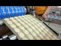 SKYWIN ROTARY MOULDER, WALNUT SOFT BISCUIT FORMING MACHINE