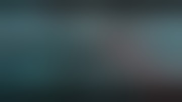 fractal space bug report